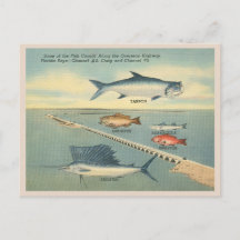 Pesca de Vintage Florida Keys