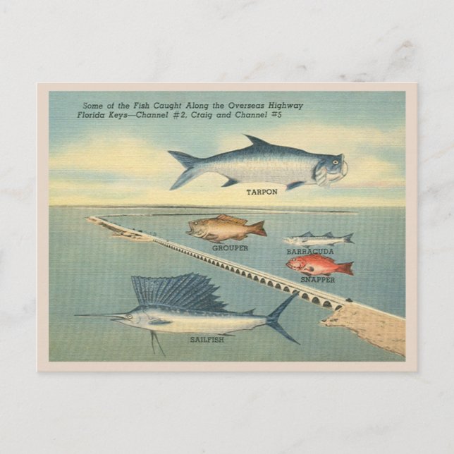 Postal Pesca de Vintage Florida Keys (Anverso)