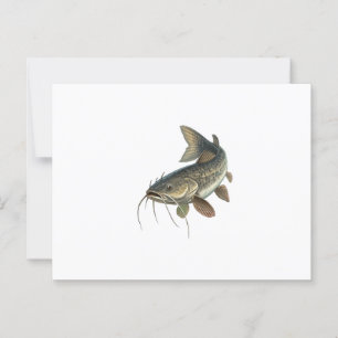 Postal Pescado