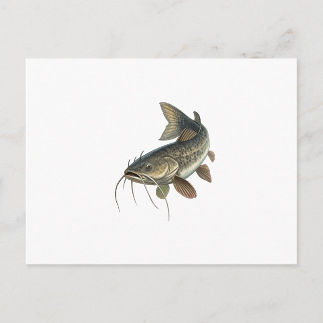 Postal Pescado (Anverso)