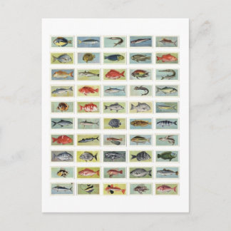 Postal Pescado africano