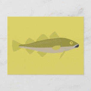 Postal Pescado Bacalao