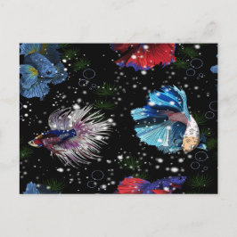 Postal Pescado Betta colorido