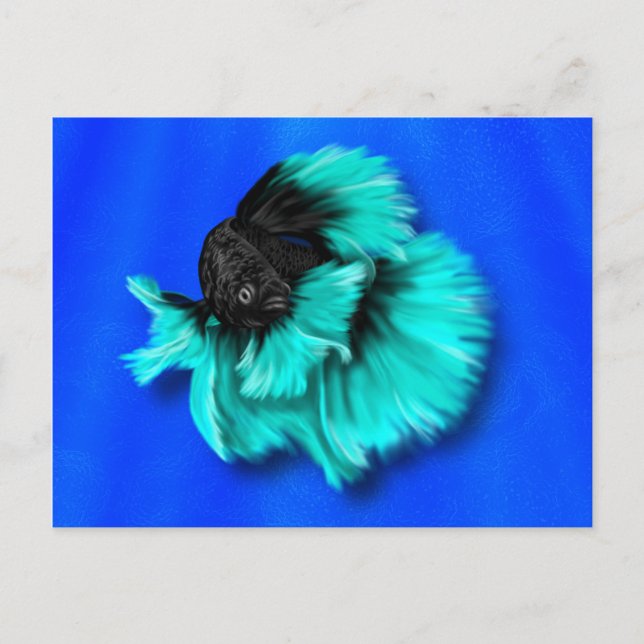 Postal Pescado Betta negro y Verde azulado (Anverso)