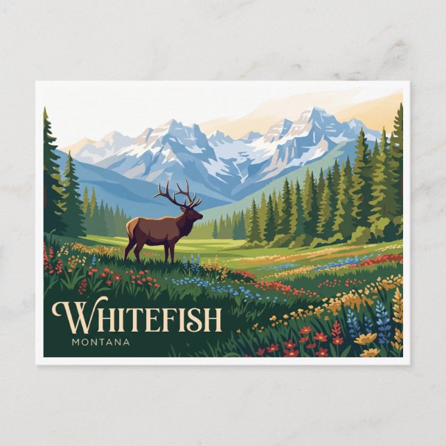 Postal Pescado blanco Montana (Anverso)