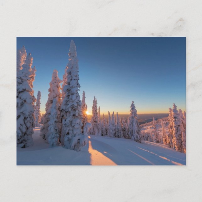 Postal Pescado blanco, Montana (Anverso)