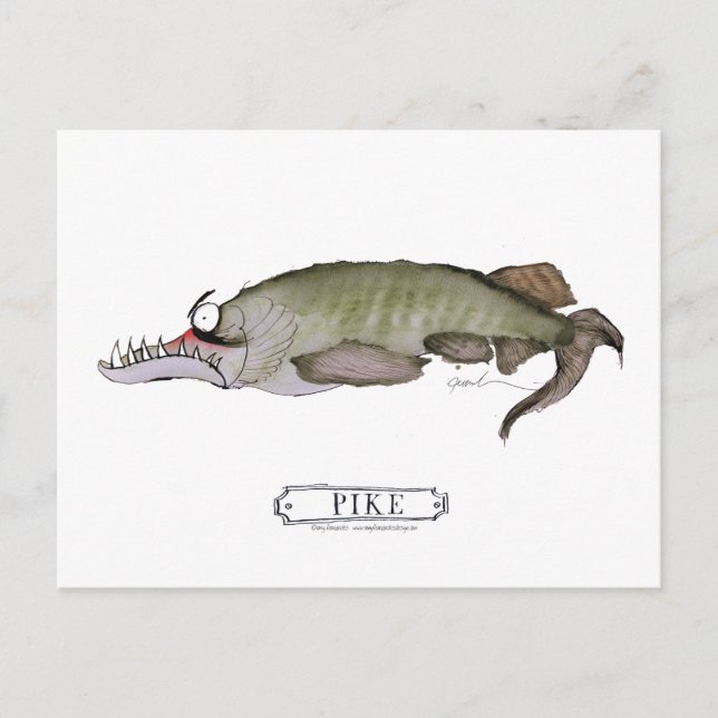 Postal Pescado de coca, tony fernandes (Anverso)