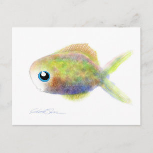 Postal Pescado de fantasía: El niño de ojos azules