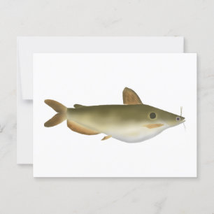 Postal Pescado de Günther
