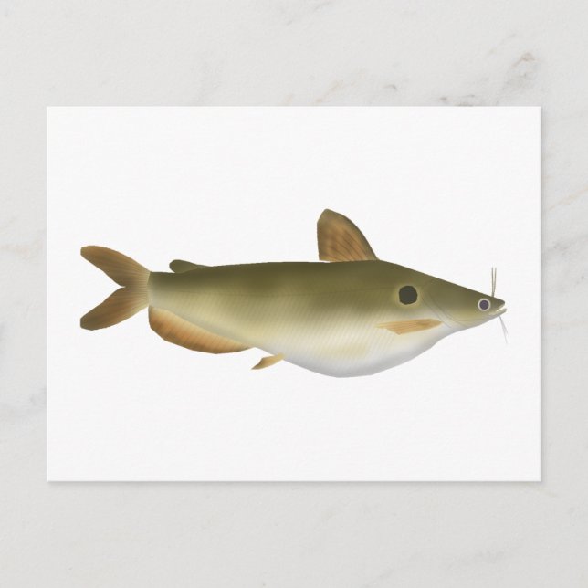 Postal Pescado de Günther (Anverso)