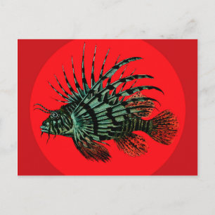 Postal Pescado de león Postcard