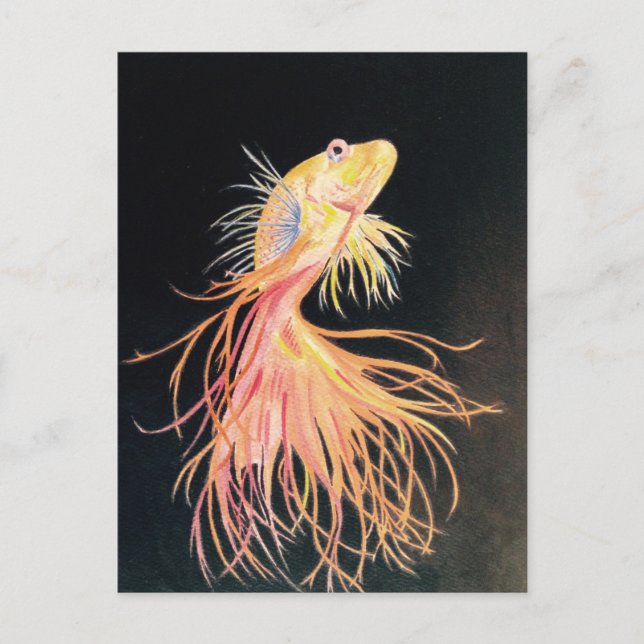 Postal Pescado de oro (2).jpg (Anverso)