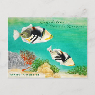 Postal Pescado de Picasso
