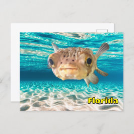 Postal Pescado de puffer en el océano Pacífico bajo el ag