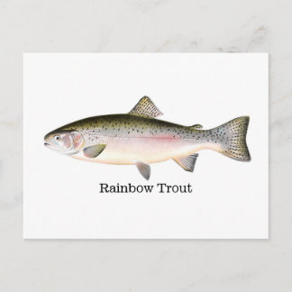 Postal Pescado de trucha arco iris