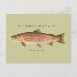 Postal Pescado de trucha arcoiris con ilustracion vintage