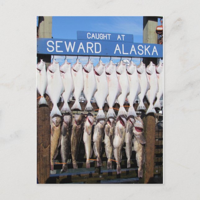 Postal Pescado en Seward, Alaska (Anverso)