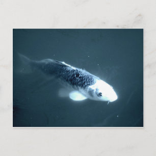 Postal Pescado "fantasma"