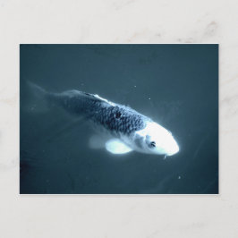 Postal Pescado "fantasma"