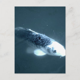 Postal Pescado "fantasma"