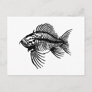 Postal Pescado fósil