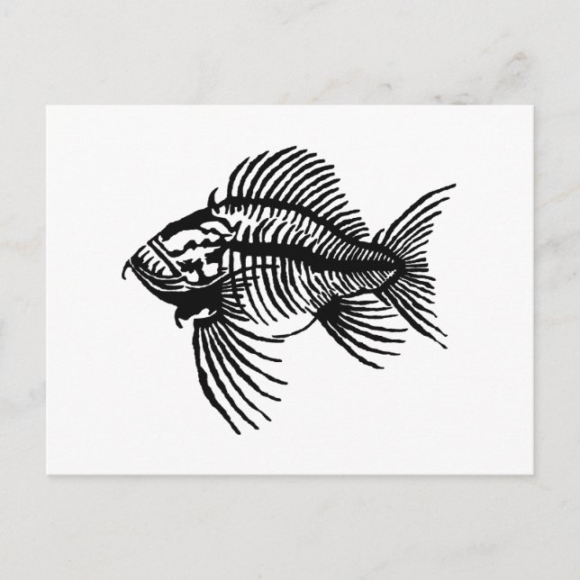 Postal Pescado fósil (Anverso)