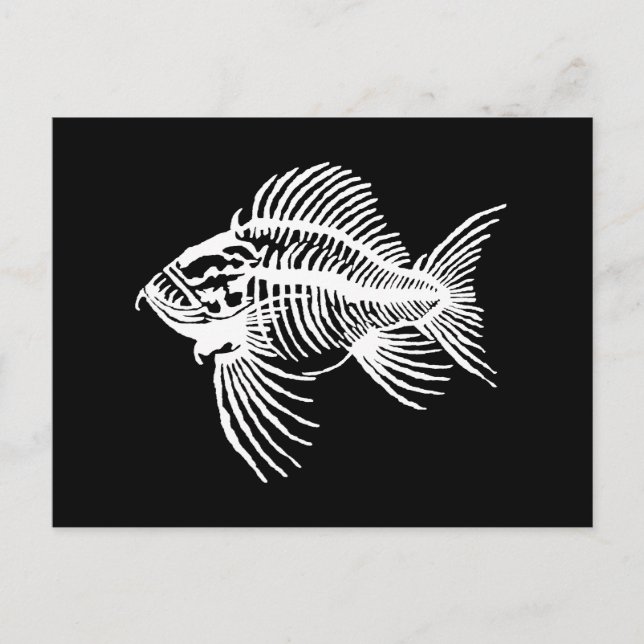 Postal Pescado fósil (Anverso)
