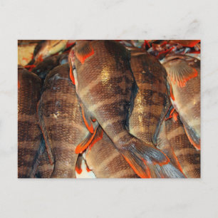 Postal Pescado fresco