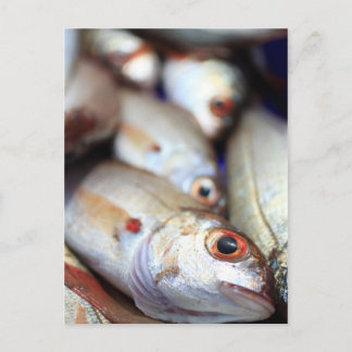 Postal Pescado fresco
