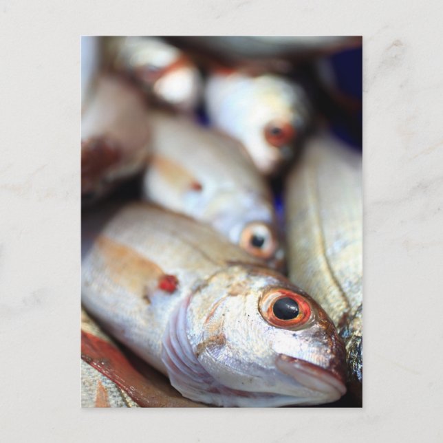 Postal Pescado fresco (Anverso)