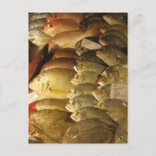 Postal Pescado fresco