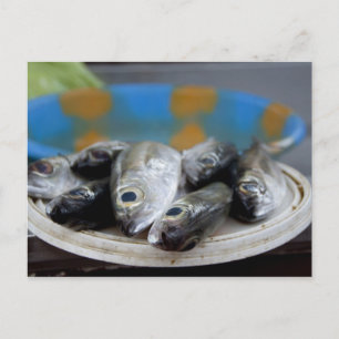 Postal Pescado fresco en el mercado de pescado (Mercado d