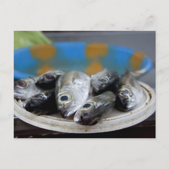 Postal Pescado fresco en el mercado de pescado (Mercado d (Anverso)