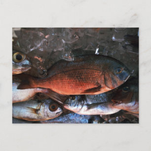 Postal Pescado fresco Santorini Grecia
