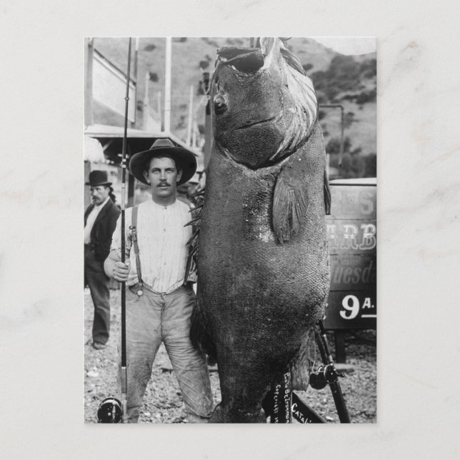 Postal Pescado grande real, a principios del siglo XX (Anverso)