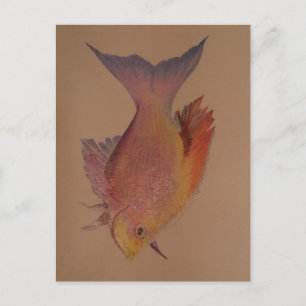 Postal Pescado irlandés