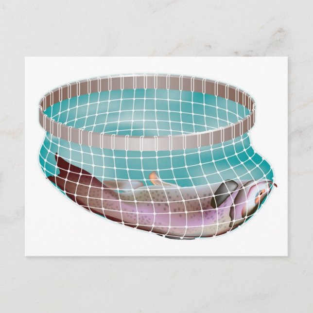 Postal Pescado neto (Anverso)