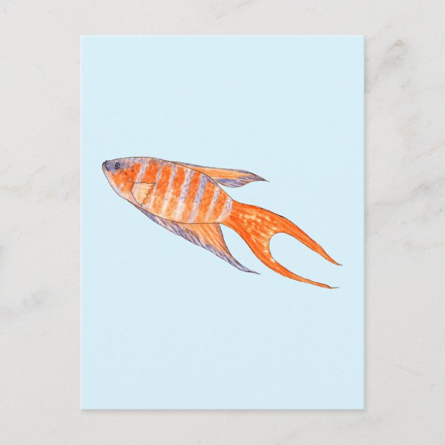 Postal Pescado Paraíso, Acuarela. (Anverso)