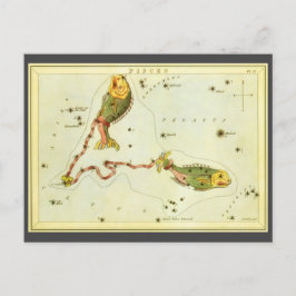 Postal Pescado picante, espejo de la vieja constelación d