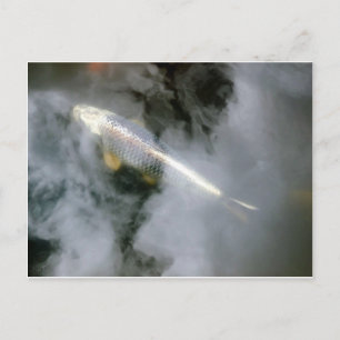 Postal Pescado plateado en agua y nubes