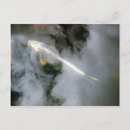 Postal Pescado plateado en agua y nubes