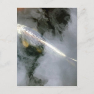 Postal Pescado plateado en agua y nubes