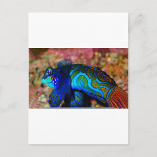 Postal Pescado psicodélico