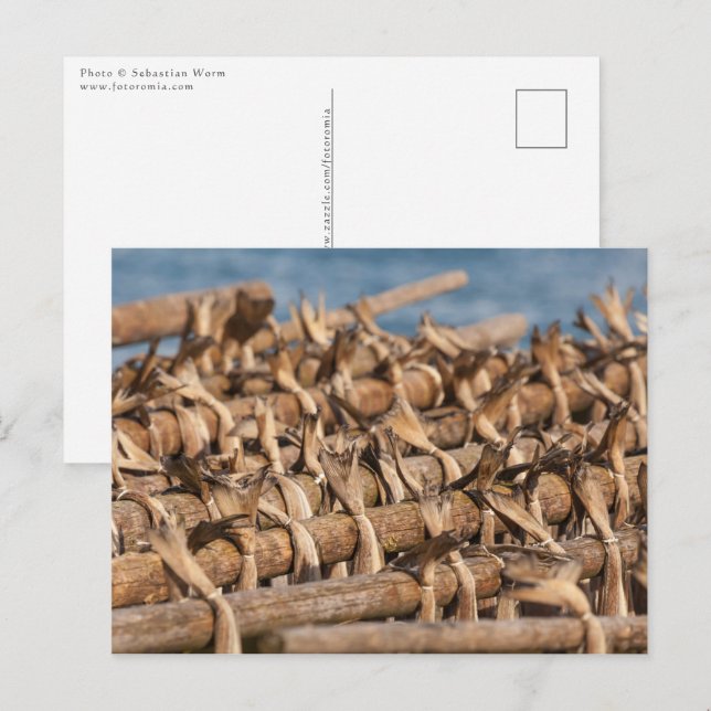 Postal Pescado seco Lofoten (Anverso / Reverso)