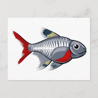 Postal Pescado tetra personalizado de rayos X