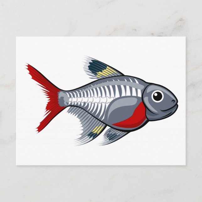 Postal Pescado tetra personalizado de rayos X (Anverso)