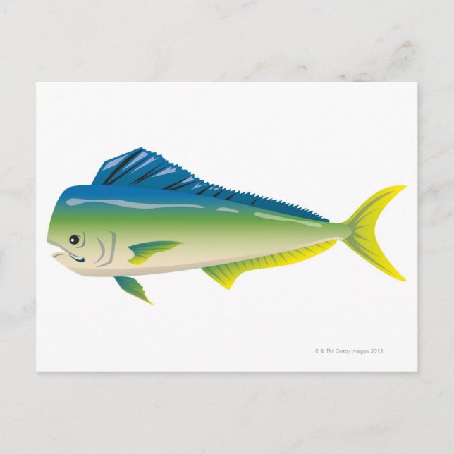 Postal Pescado tropical (Anverso)