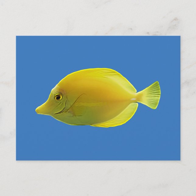 Postal Pescado tropical amarillo (Anverso)