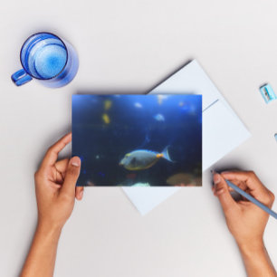 Postal Pescado tropical azul-amarillo