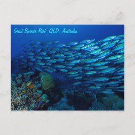 Postal Pescado Tropical Gran Barrera de Coral de Arrecife